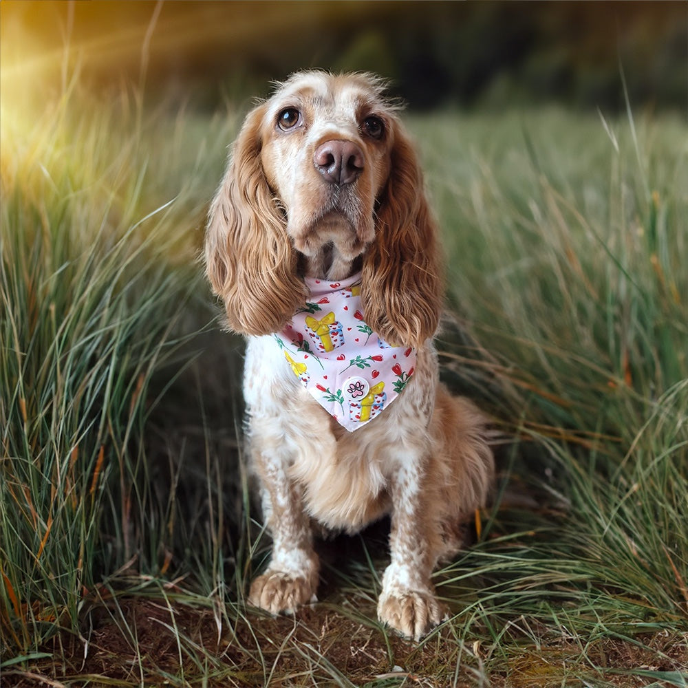 Love at First Bark Bandana