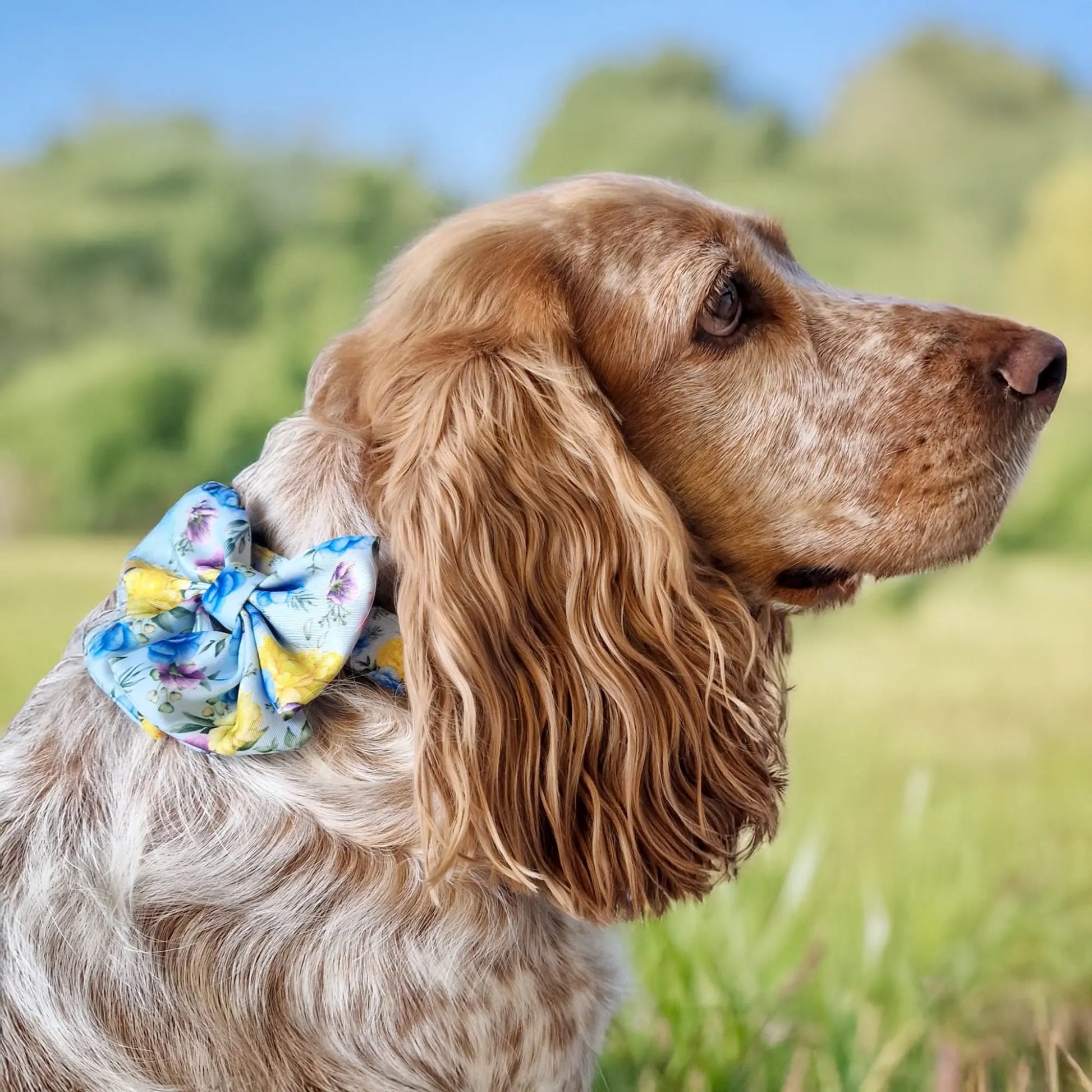 Blue-tiful Blossoms Lady Bow Picture
