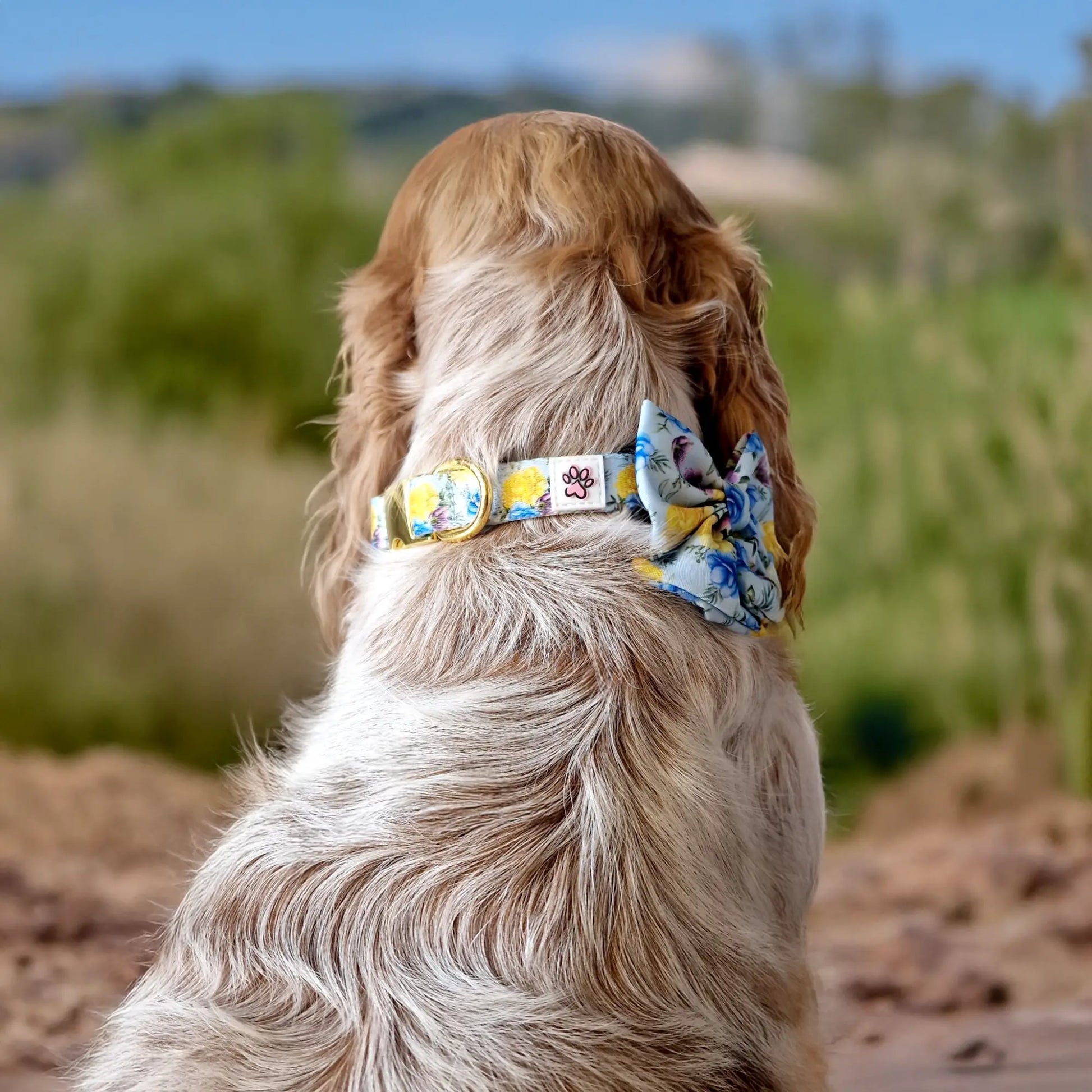 Blue-tiful Blossoms Lady Bow Picture