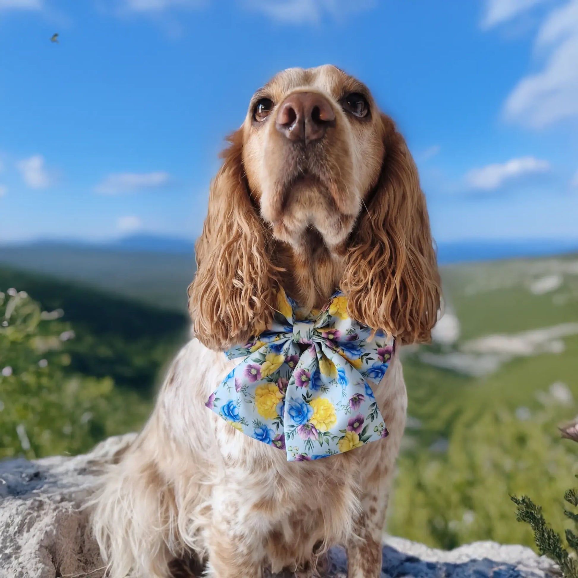 Blue-tiful Blossoms Lady Bow Picture