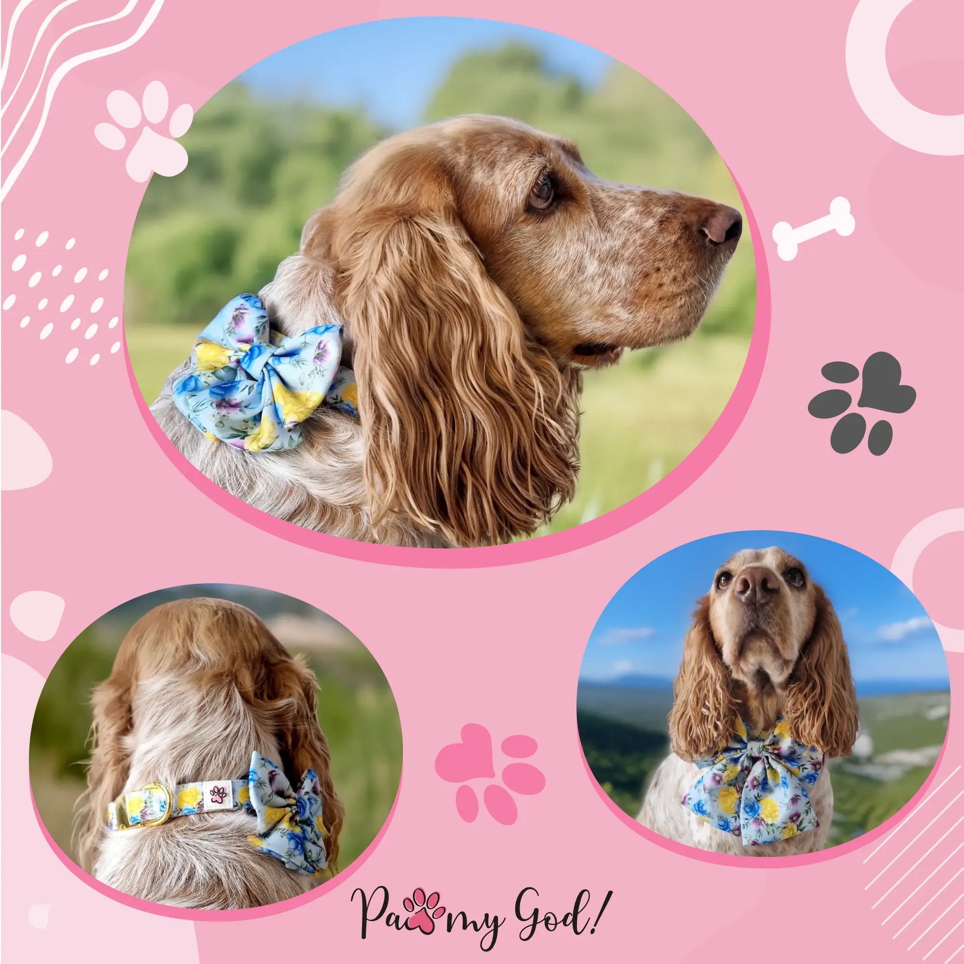 Blue-tiful Blossoms Lady Bow Usage