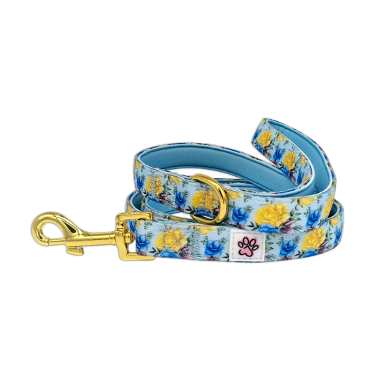 Blue-tiful Blossoms Leash