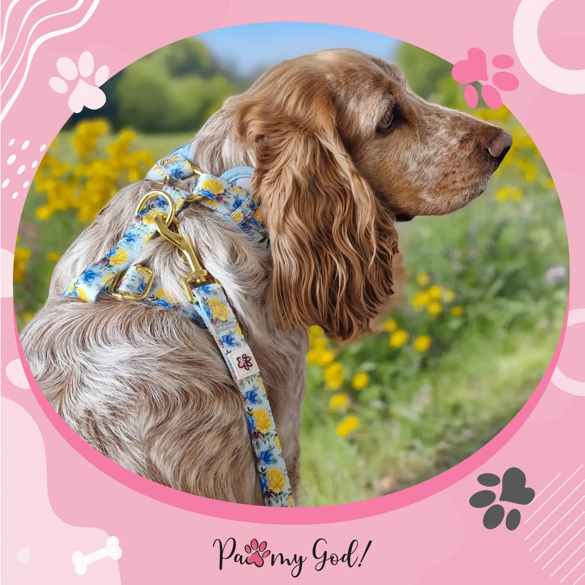 Blue-tiful Blossoms Leash Usage