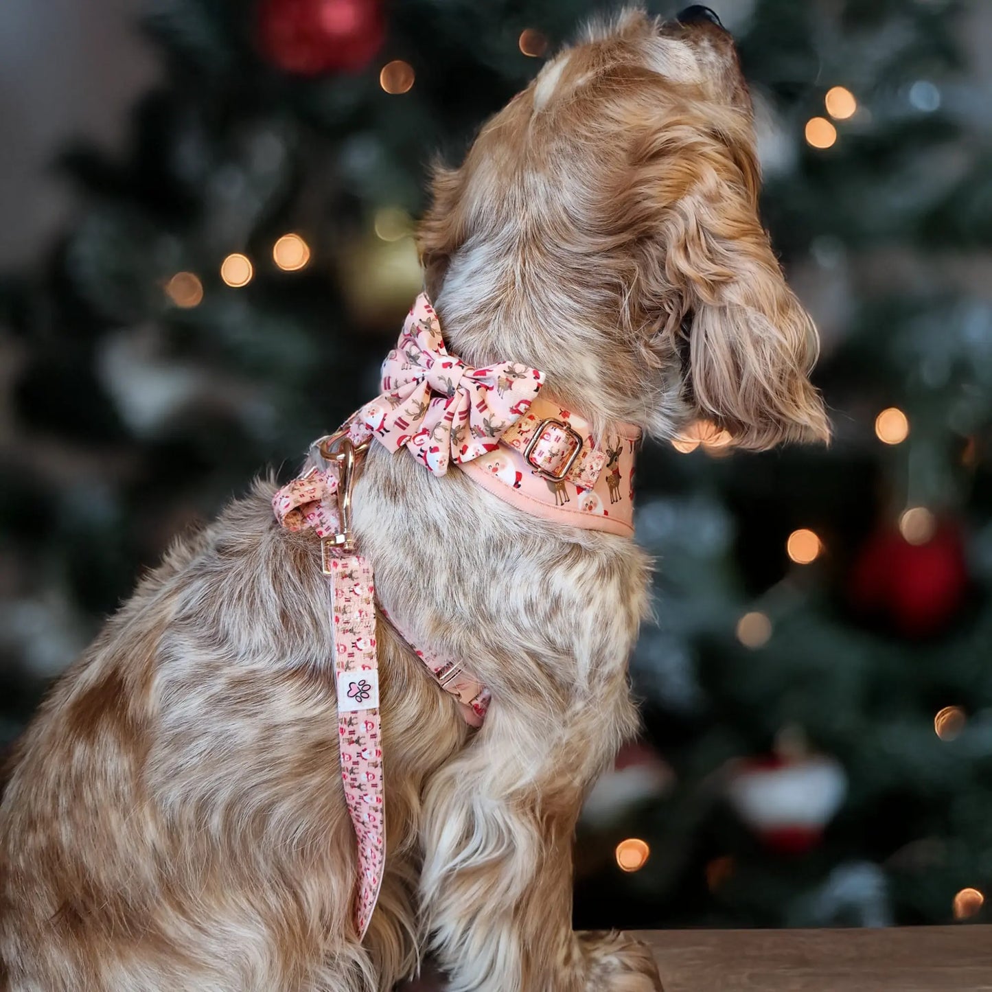 Cuddly Christmas Lady Bow Picture