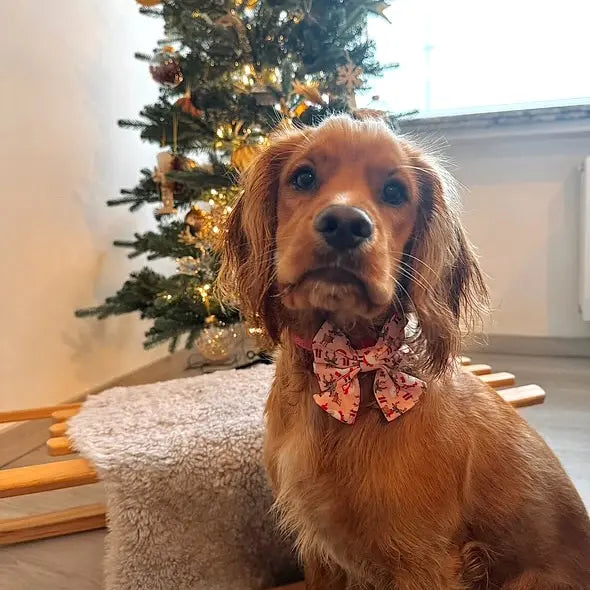 Cuddly Christmas Lady Bow Picture