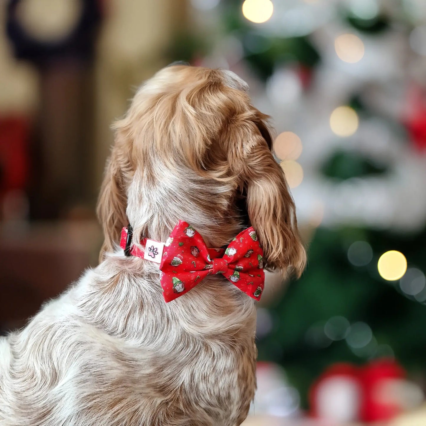 Gnomey Glamour Bow Tie Picture