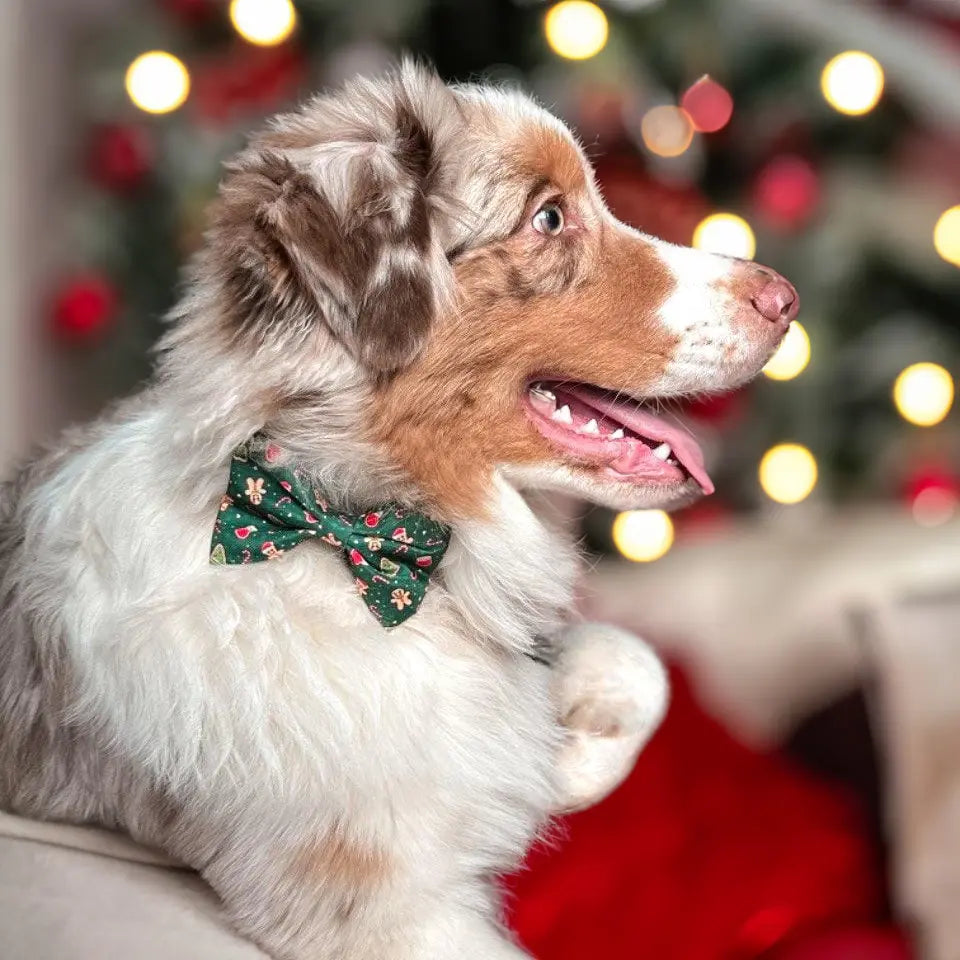 Howliday Crumbles Bow Tie Picture