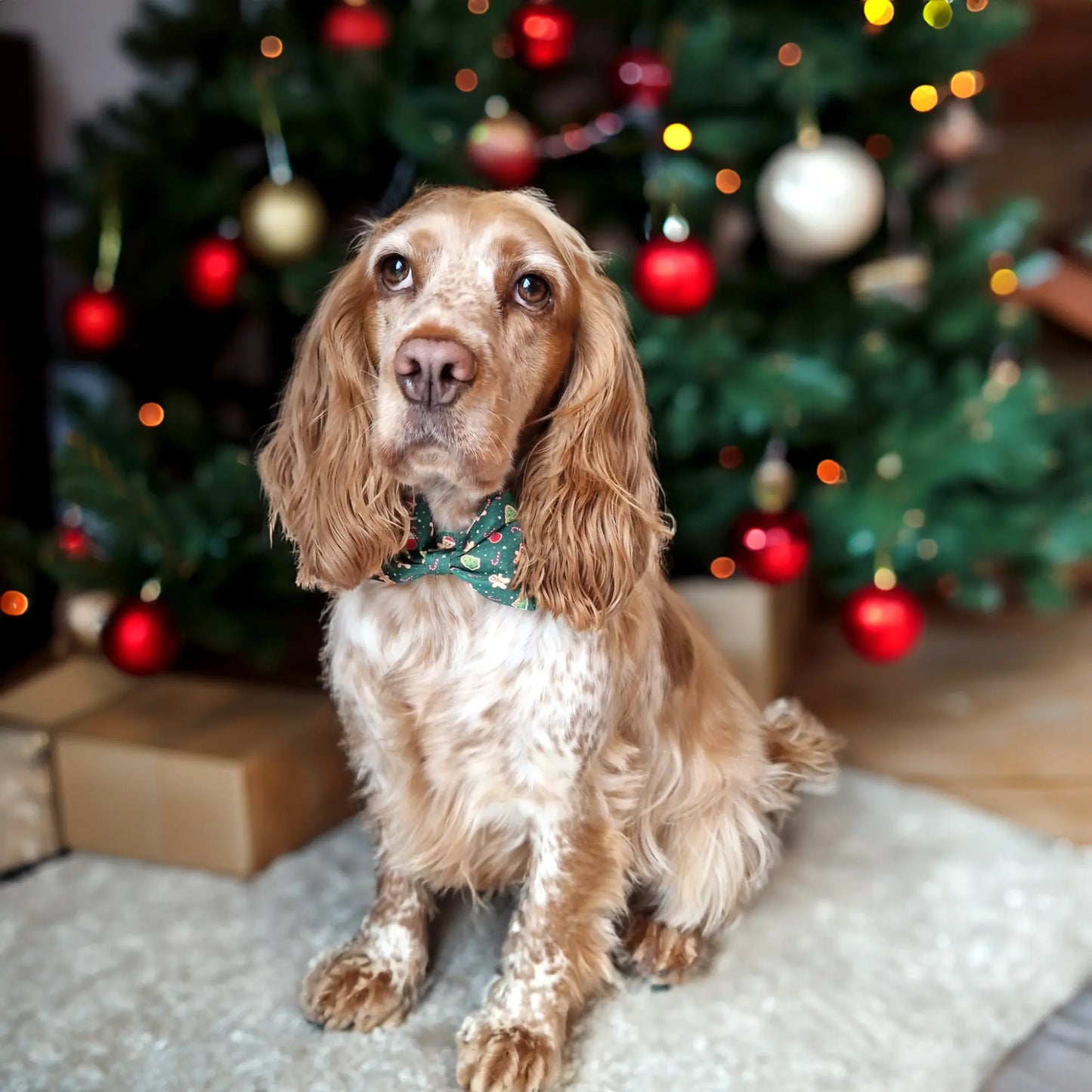 Howliday Crumbles Bow Tie Picture