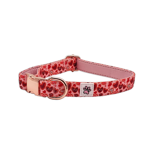 Love at First Bark Cloth Collar