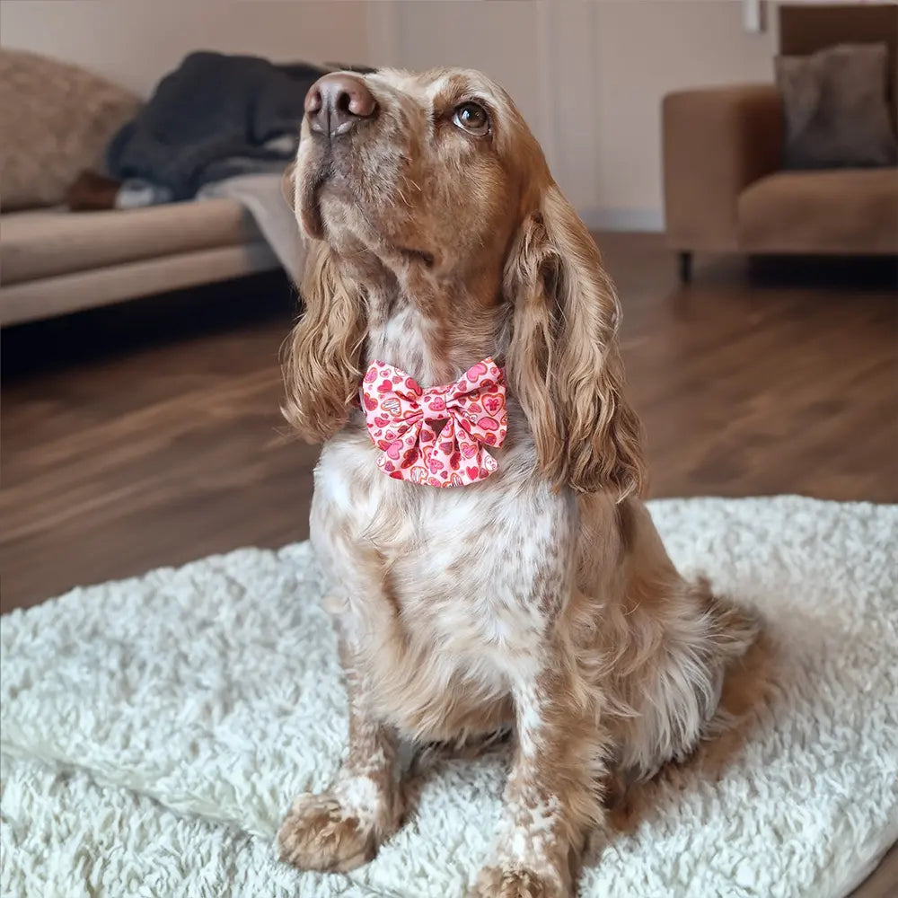 Love at First Bark Lady Bow Picture