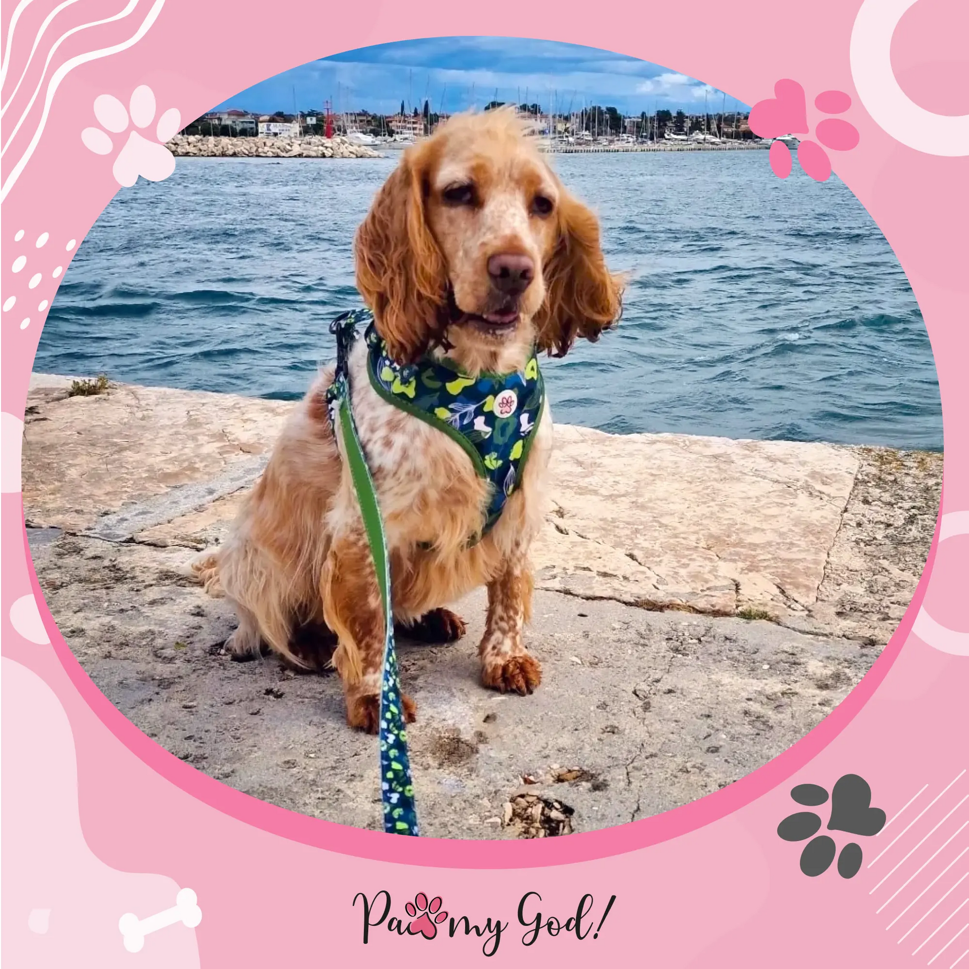 Let's go Outside Leash Usage