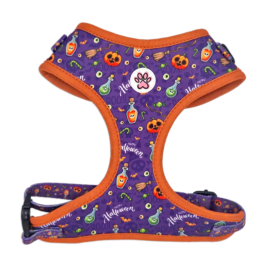Pumpkin Pooch Parade Harness