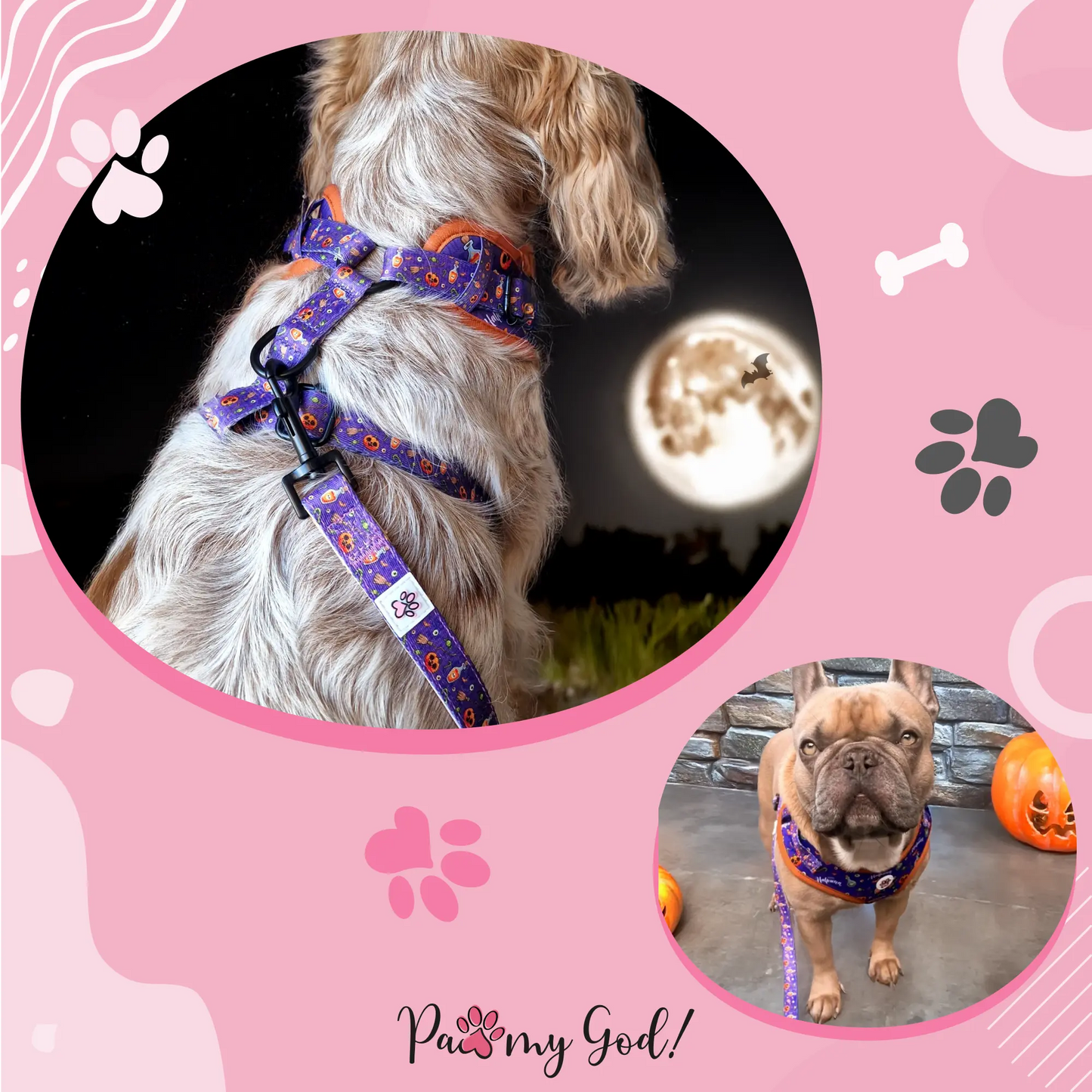 Pumpkin Pooch Parade Cloth Leash Usage