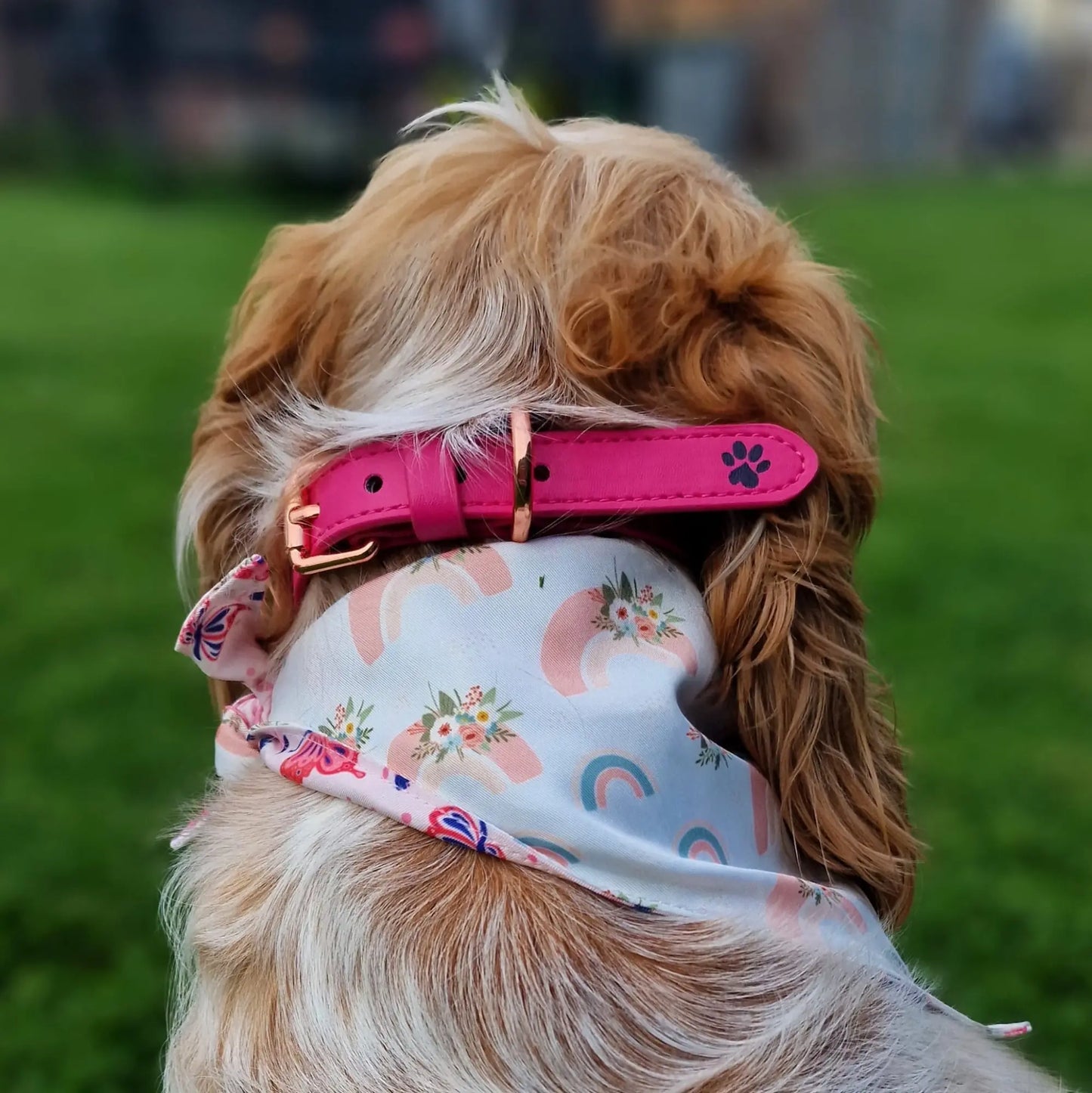 Pretty Pink Leather Collar Picture