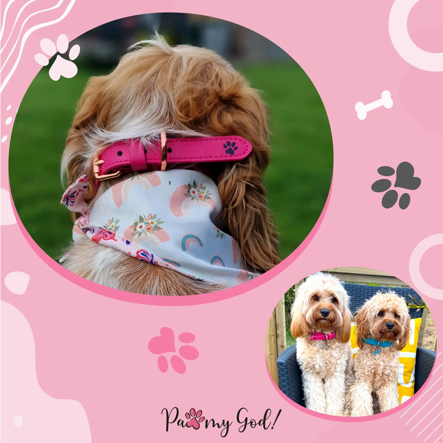 Pretty Pink Leather Collar Usage