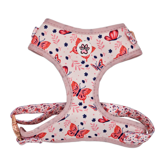 Rainbows and Butterflies Harness