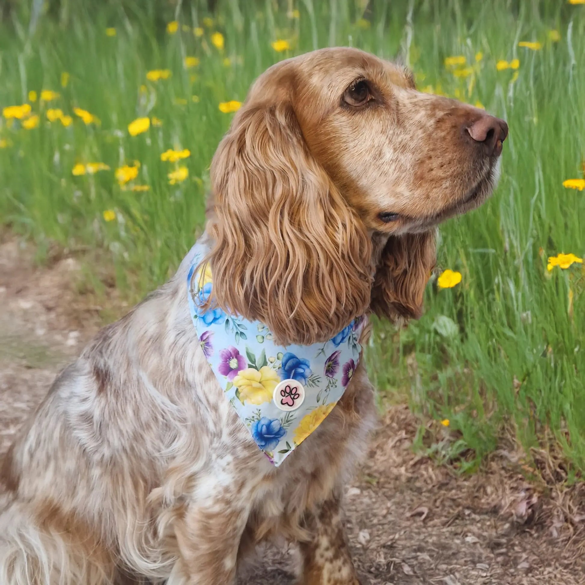 Roses are Fur-ever Bandana Picture