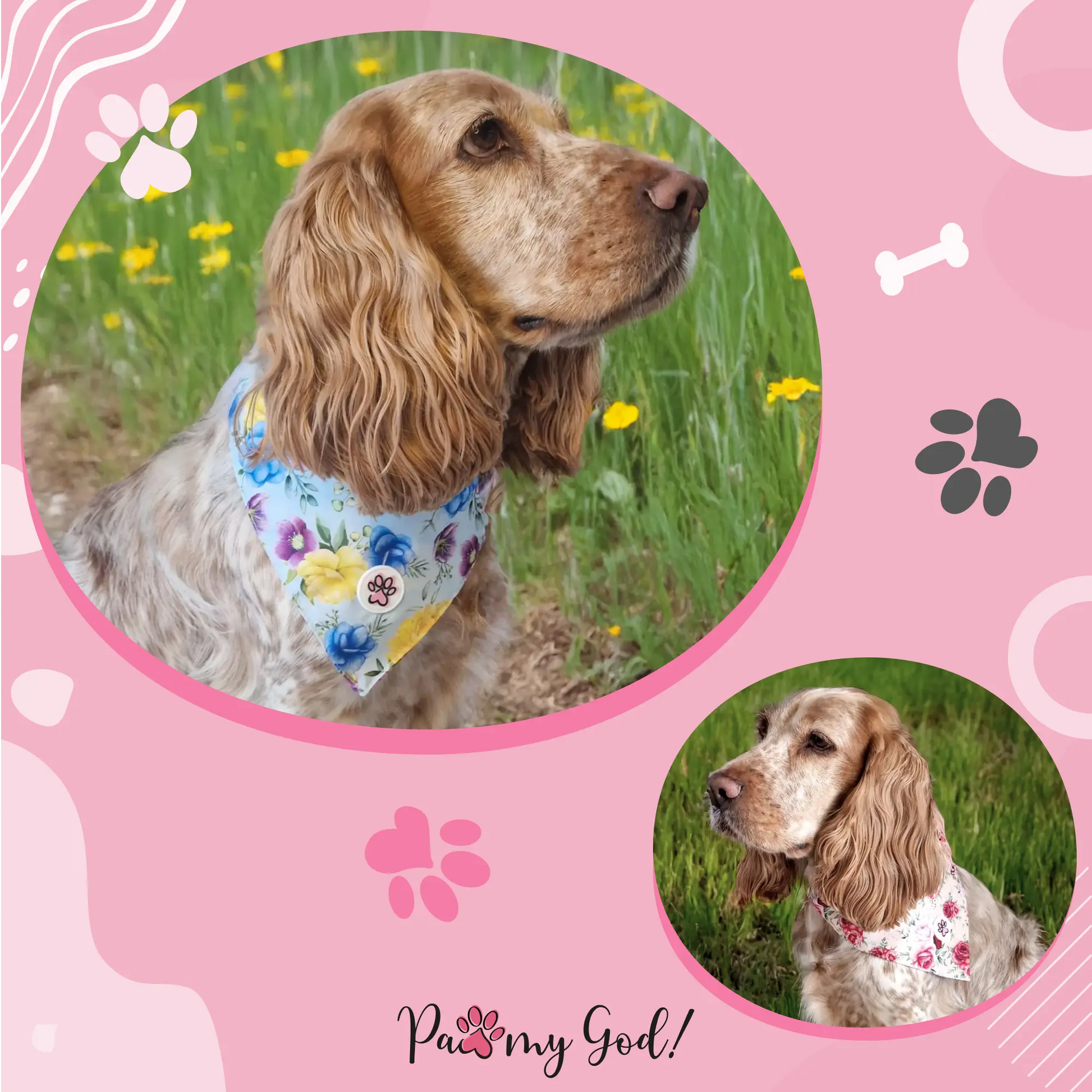 Roses are Fur-ever Bandana Usage