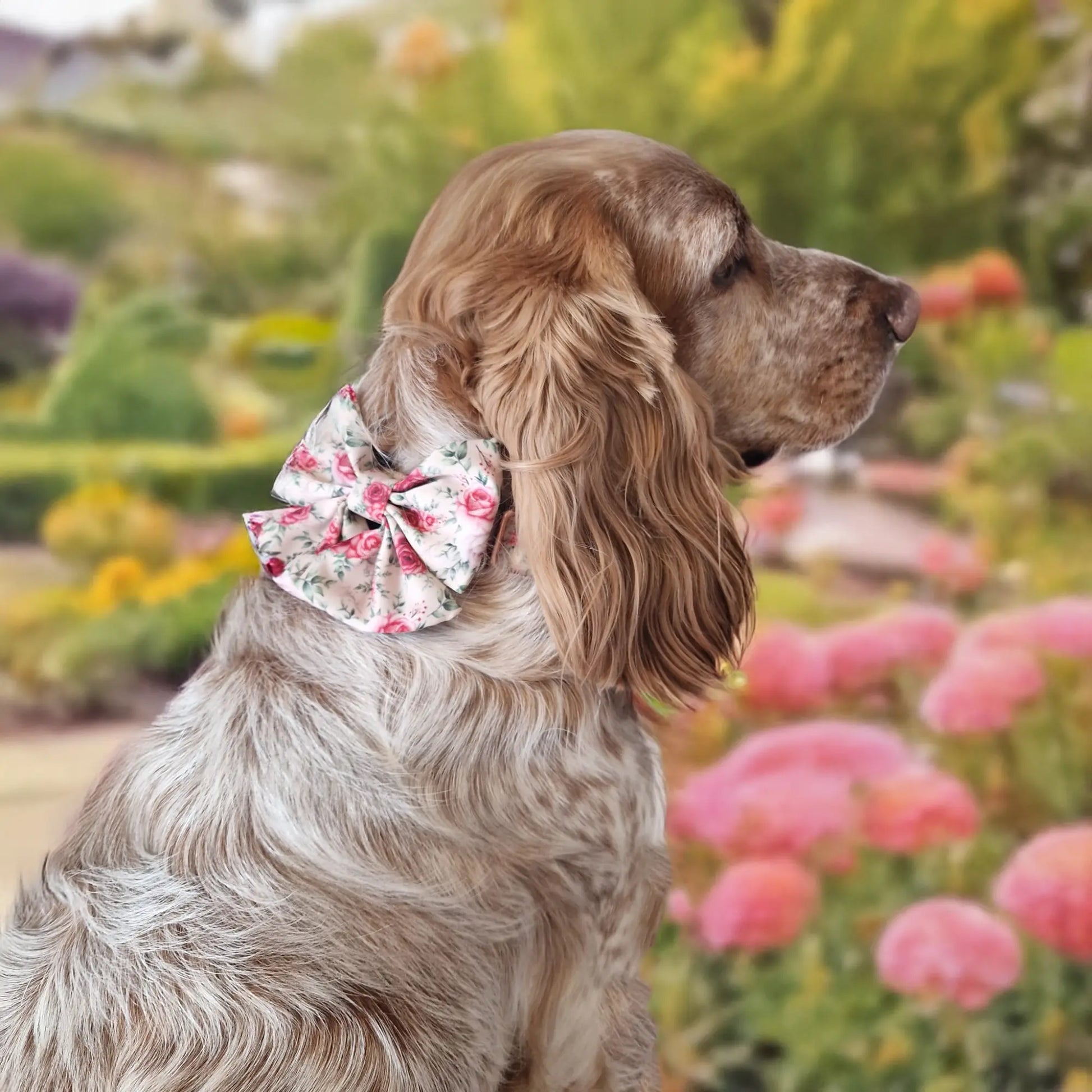 Roses are Fur-ever Lady Bow Picture