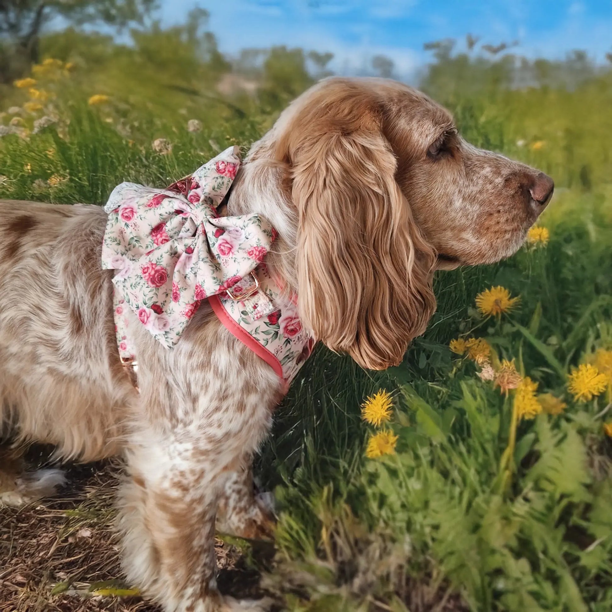 Roses are Fur-ever Lady Bow Picture