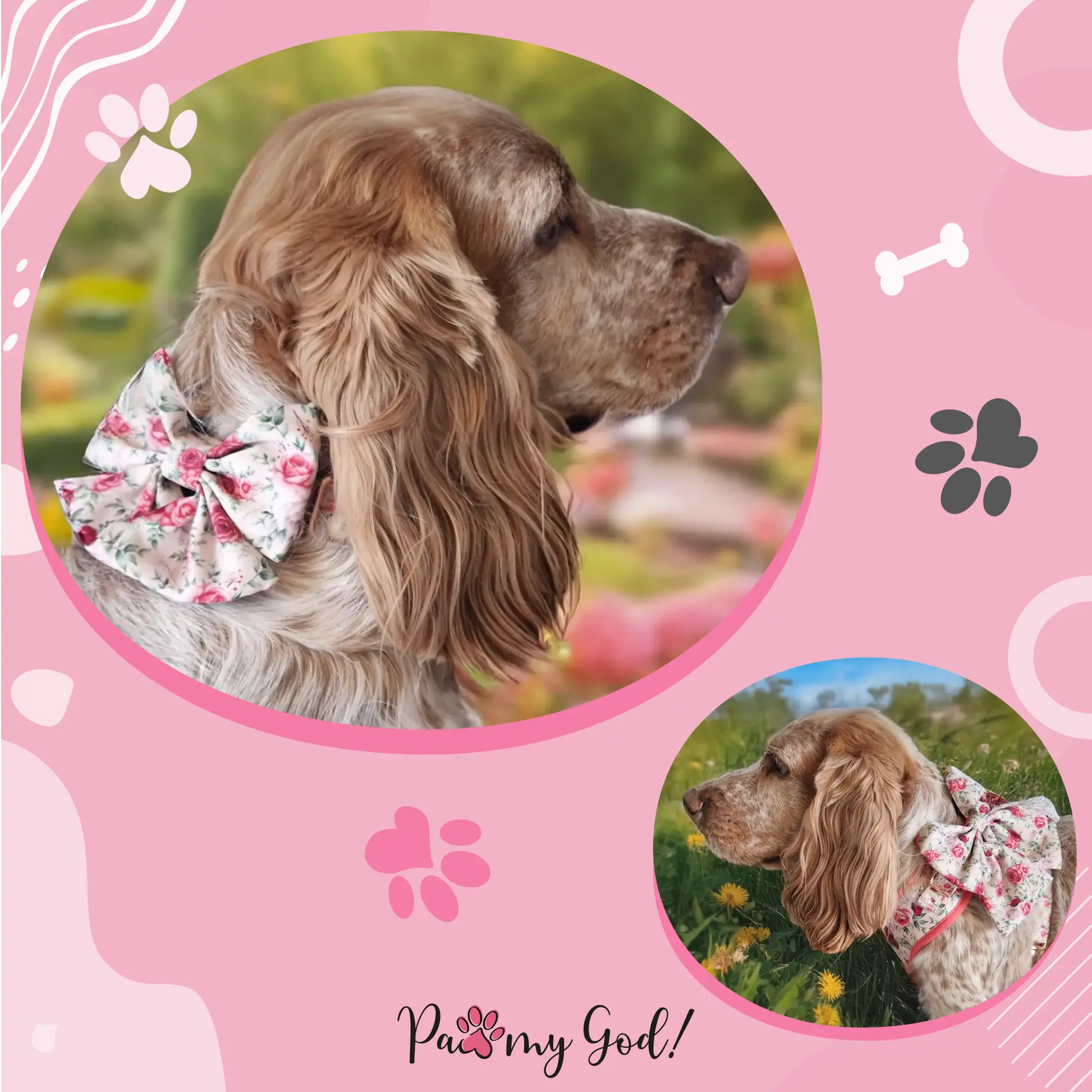 Roses are Fur-ever Lady Bow Usage