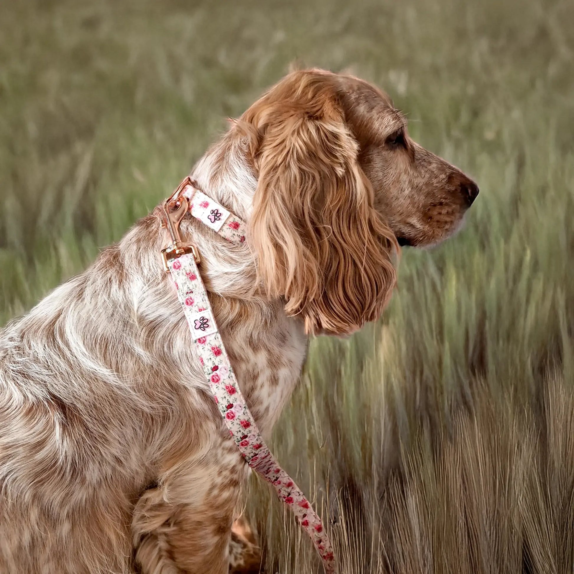 Roses are Fur-ever Leash Picture