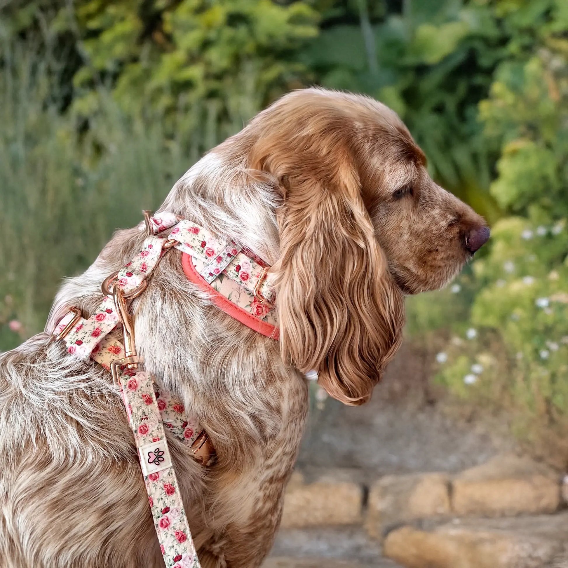 Roses are Fur-ever Leash Picture