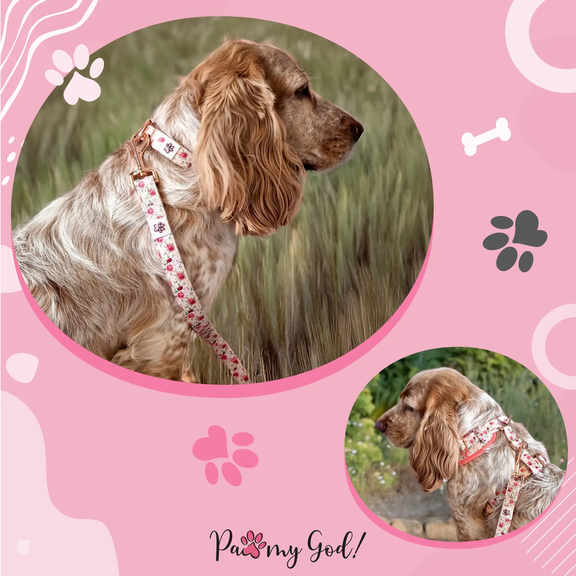 Roses are Fur-ever Leash Usage