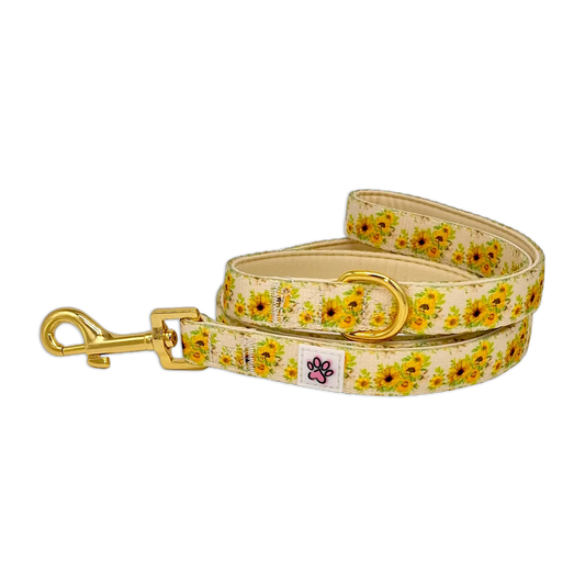 Vincent van Dogh Leash