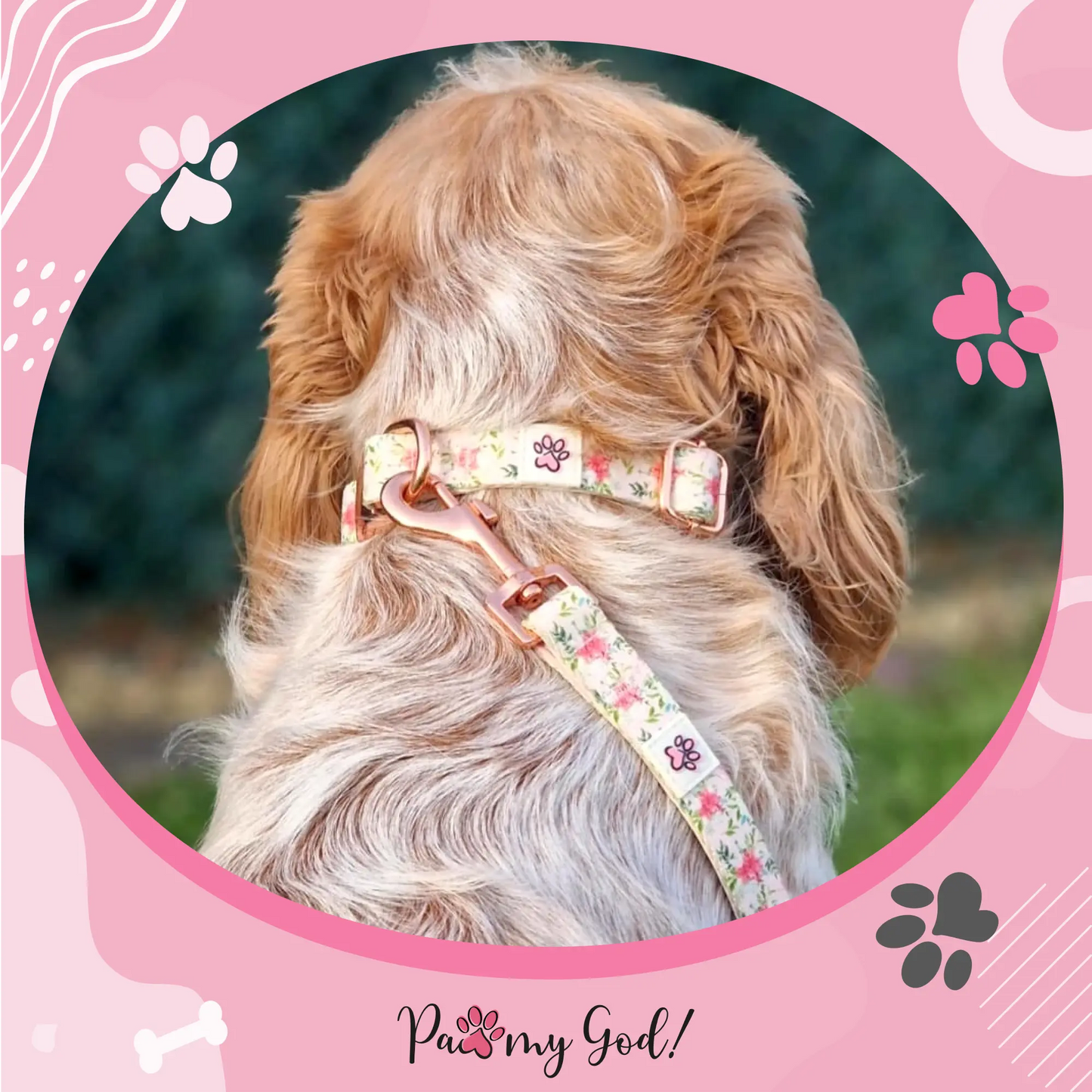 You are Llamazing Cloth Leash Usage