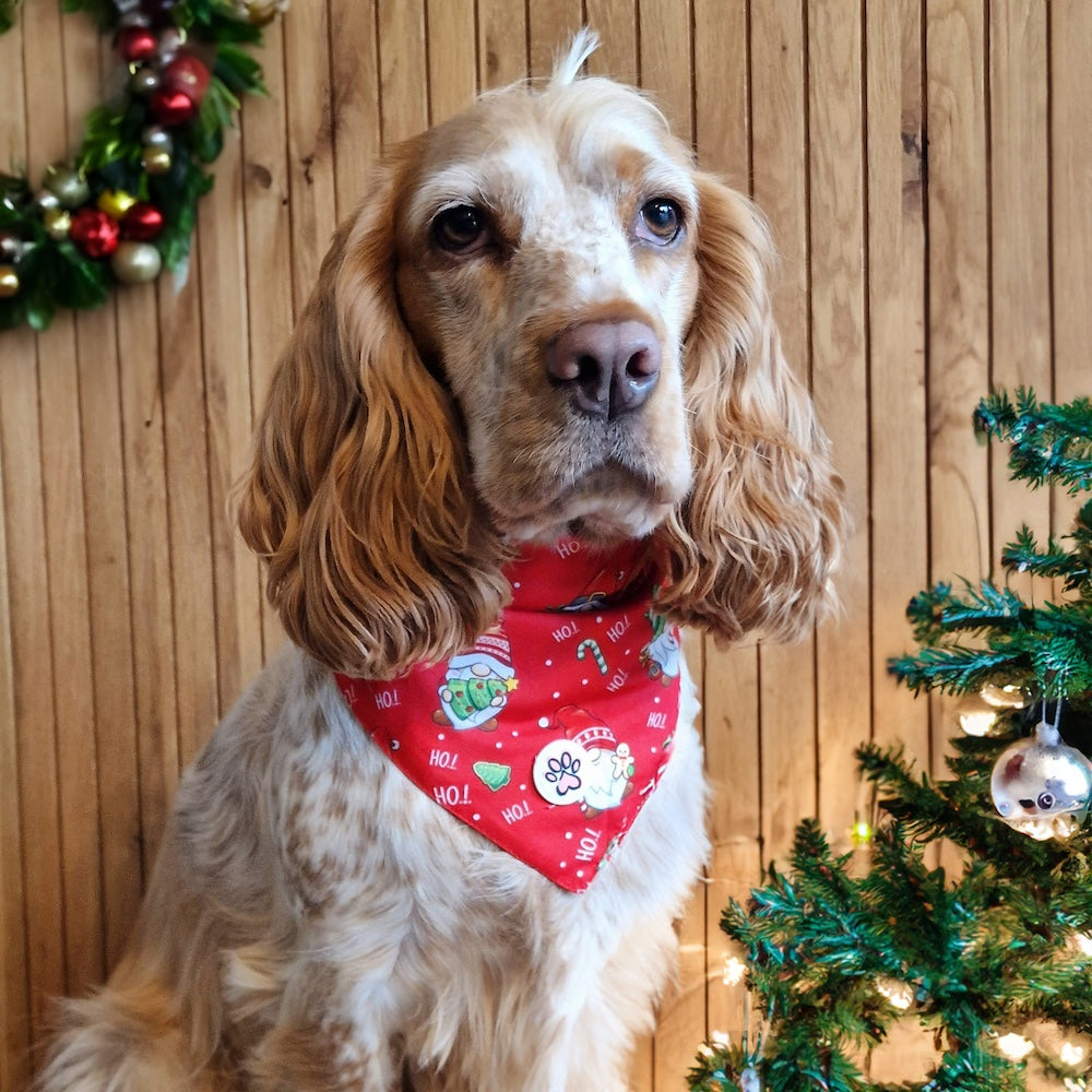 Gnomey Glamour Bandana