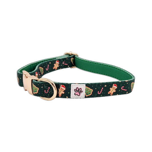 Howliday Crumbles Collar primary transparent