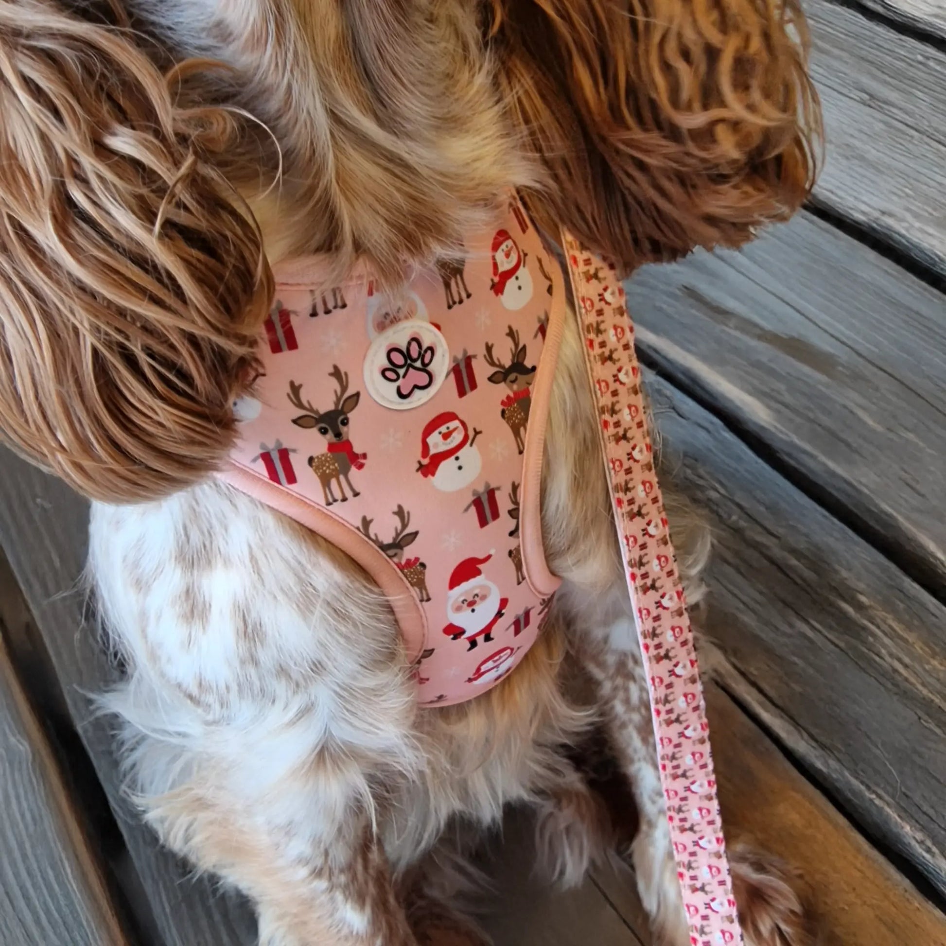 Cuddly Christmas Harness Picture