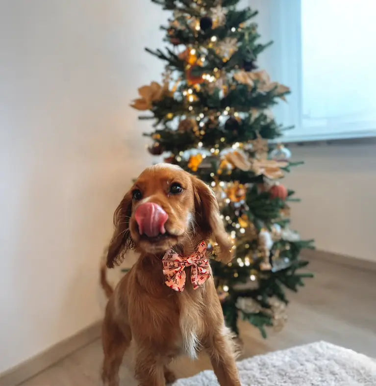 Cuddly Christmas Lady Bow Picture