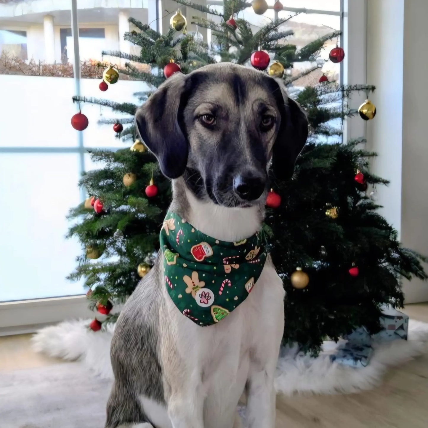 Gnomey Glamour Bandana Picture