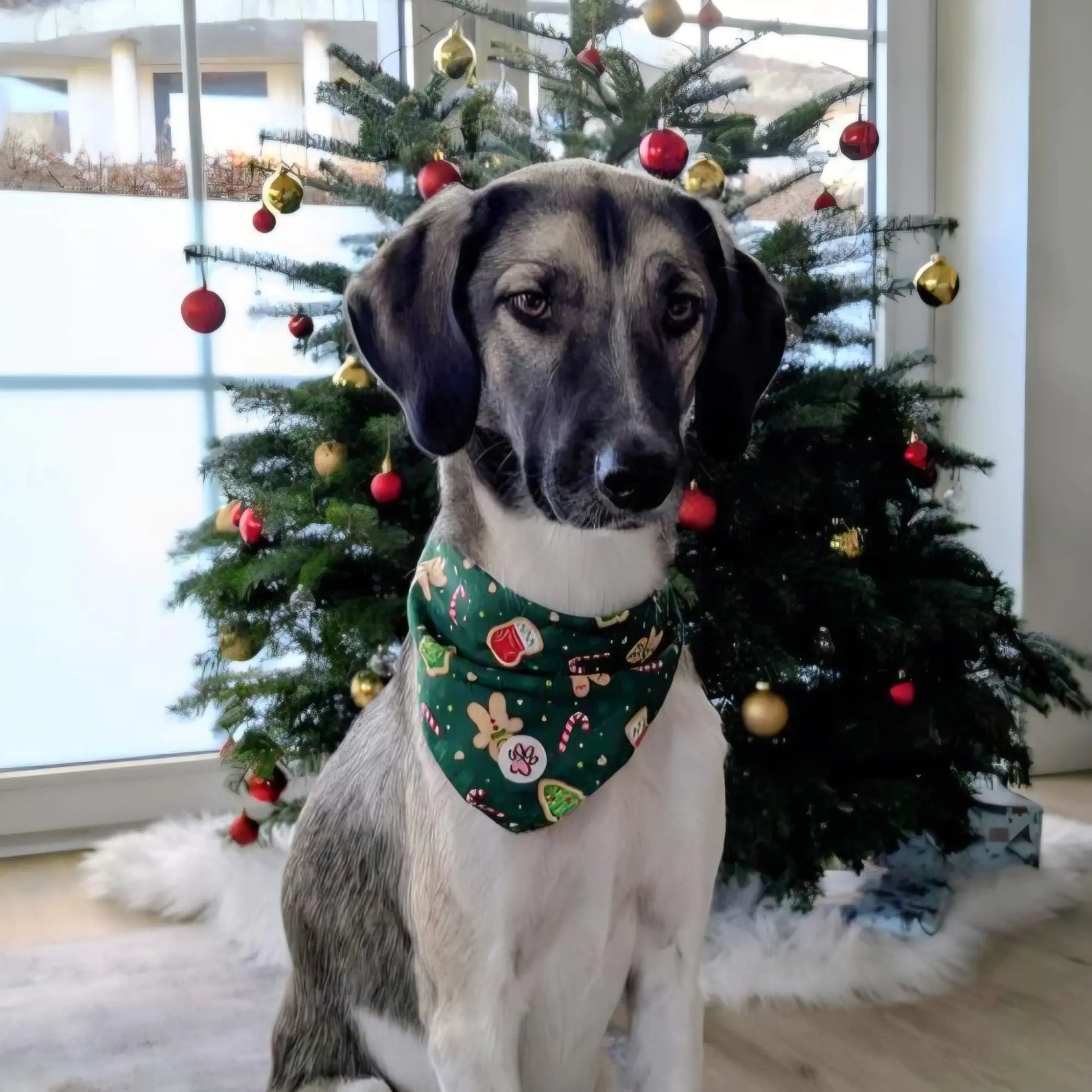 Gnomey Glamour Bandana Picture