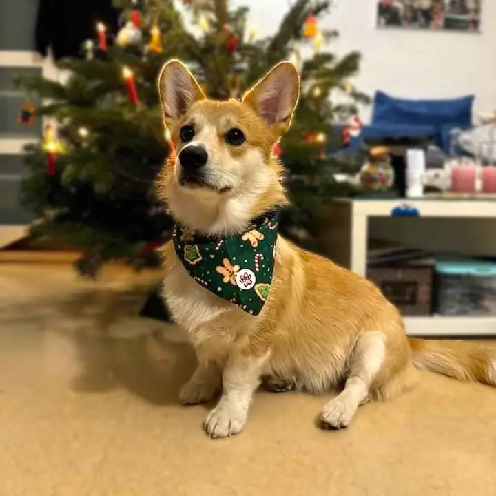 Gnomey Glamour Bandana Picture