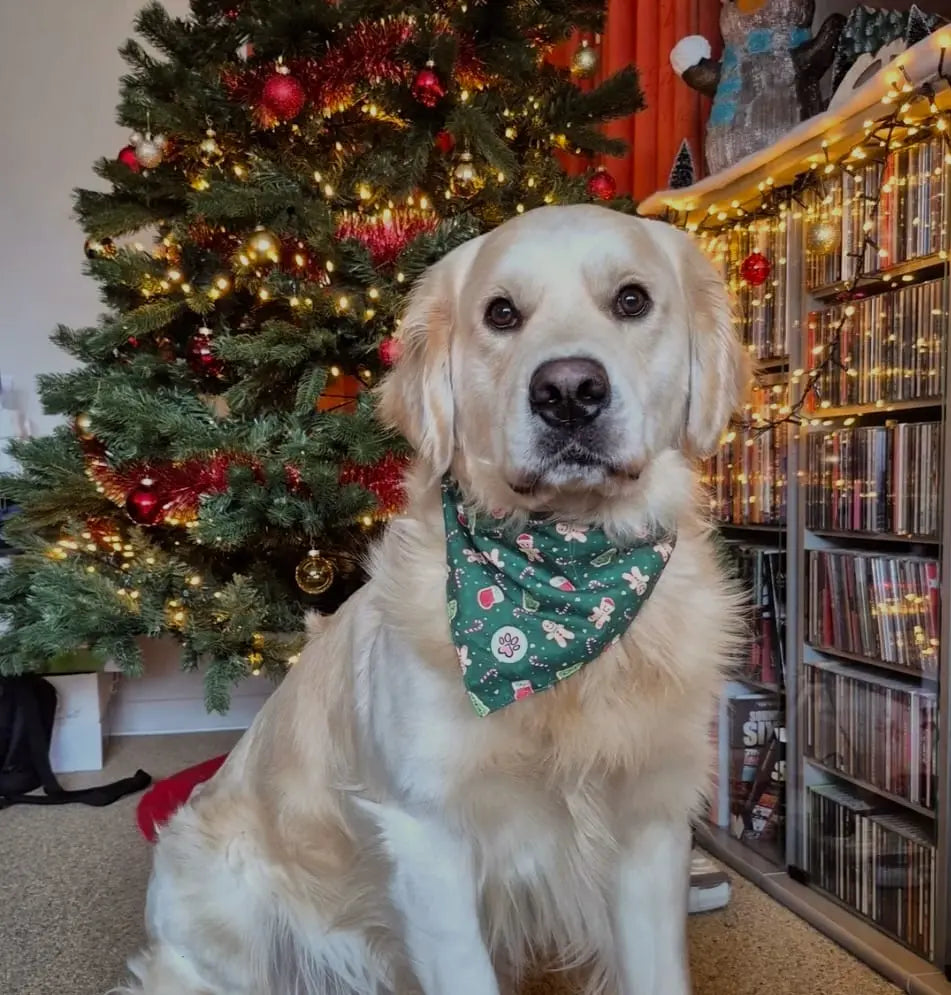 Gnomey Glamour Bandana Picture