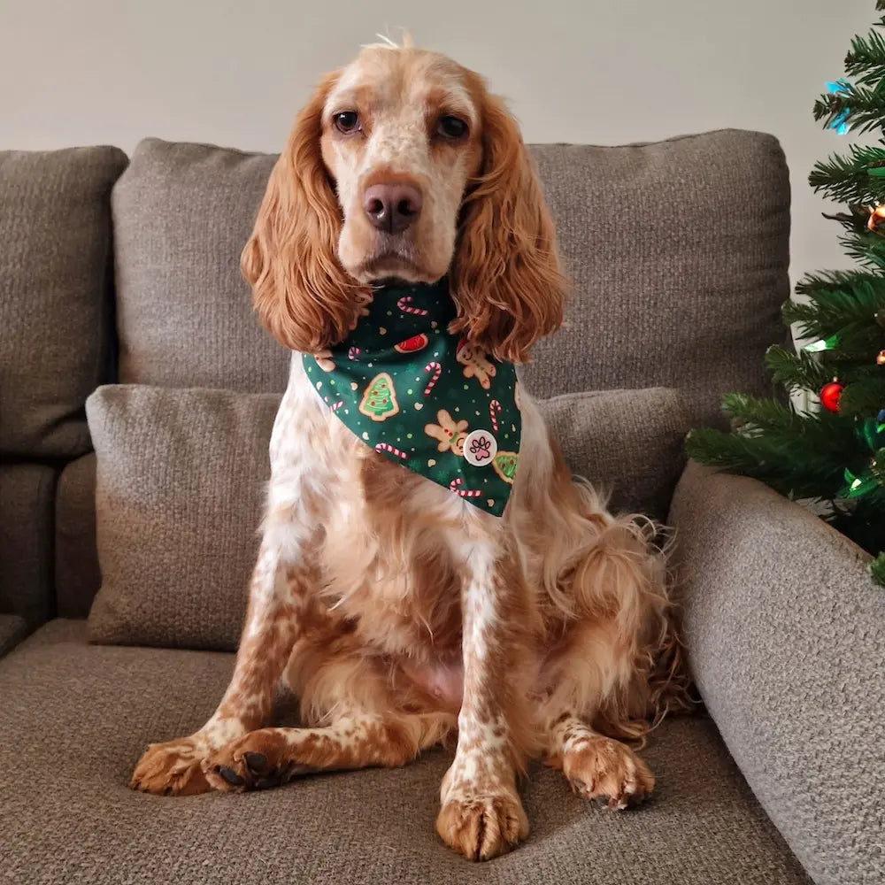 Gnomey Glamour Bandana Picture