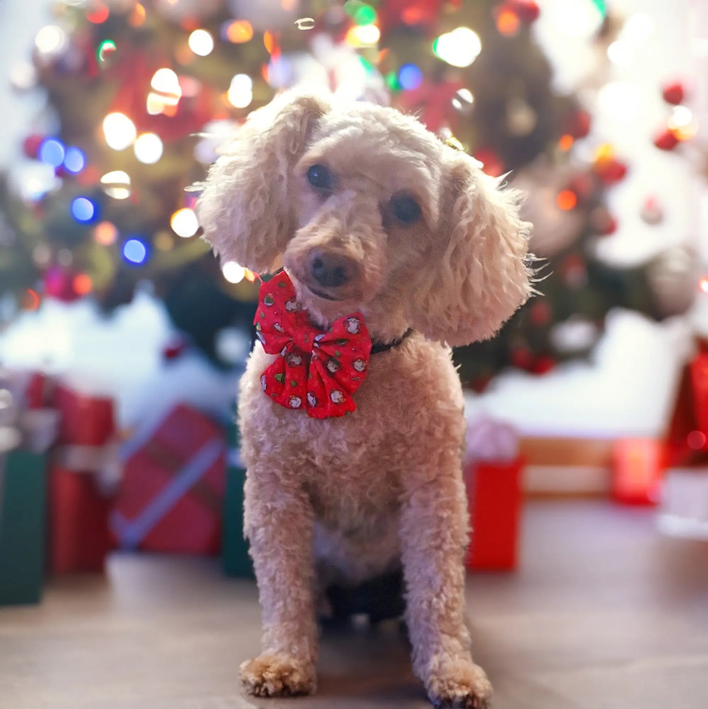 Gnomey Glamour Lady Bow Picture