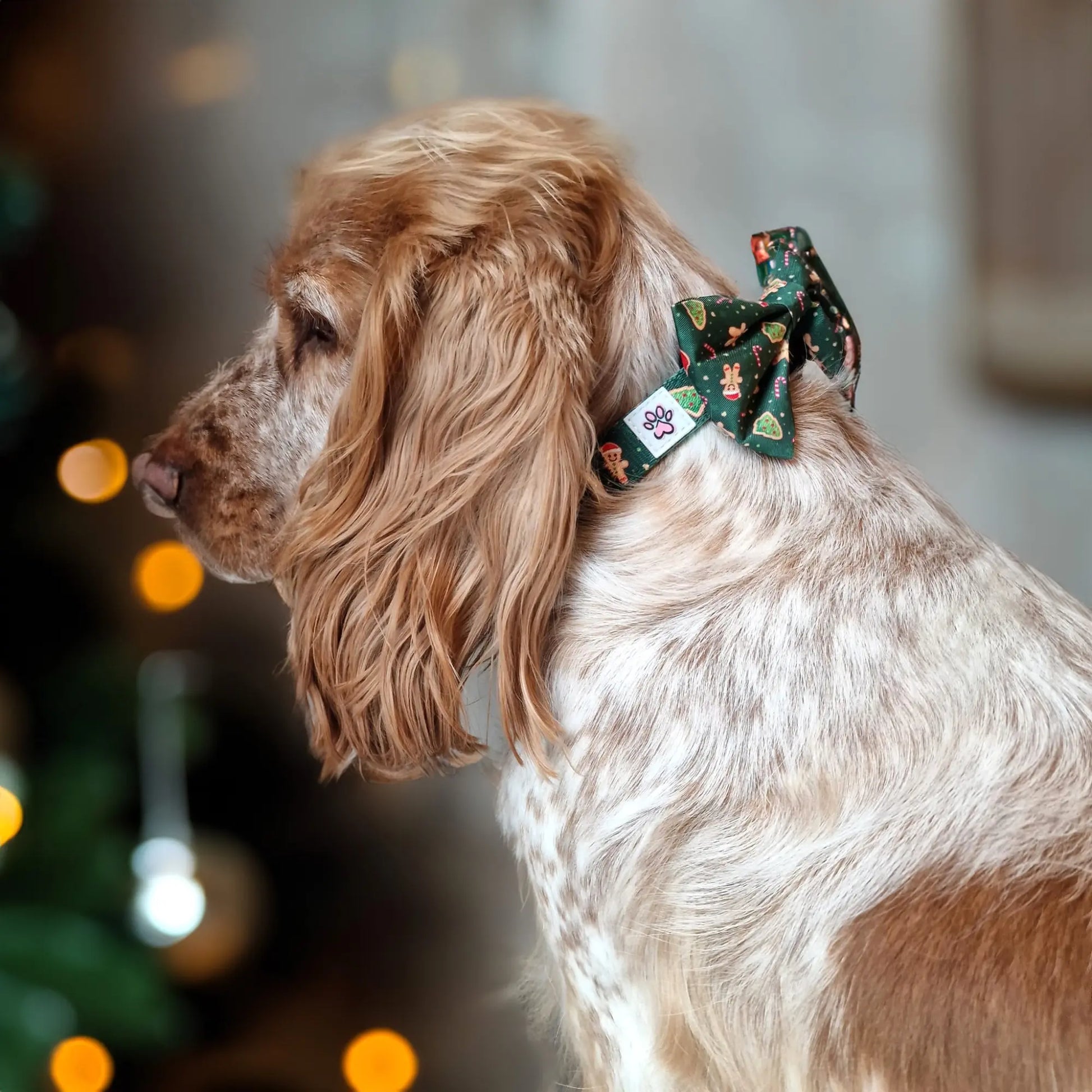 Howliday Crumbles Bow Tie Picture