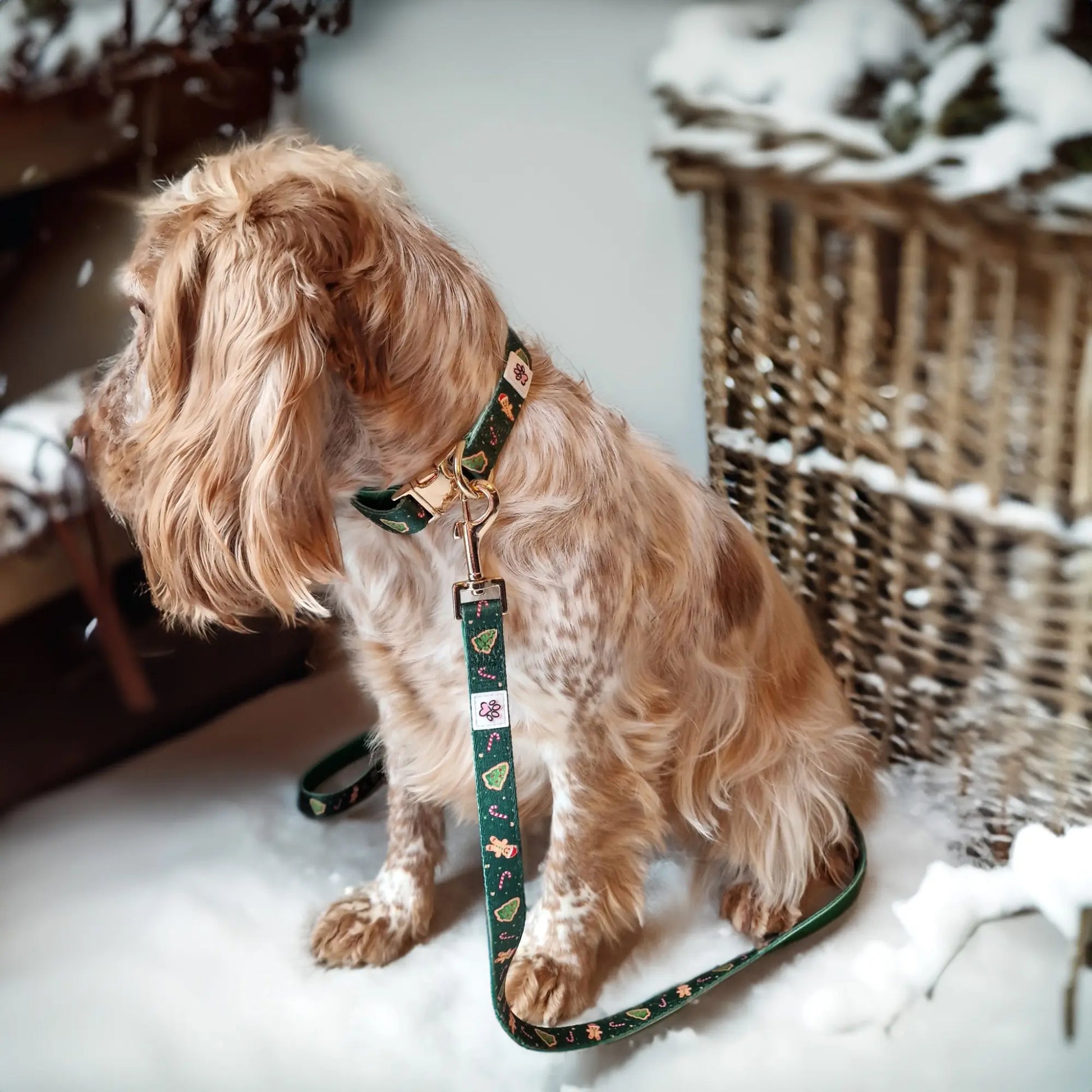 Howliday Crumbles Cloth Collar Picture