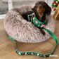 Howliday Crumbles Harness Picture