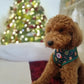 Howliday Crumbles Harness Picture