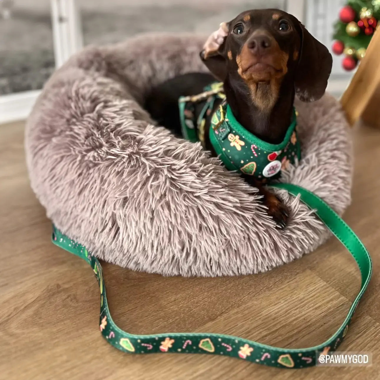 Howliday Crumbles Cloth Leash Picture