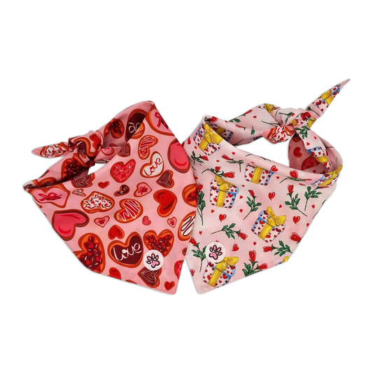 Love at First Bark Bandana