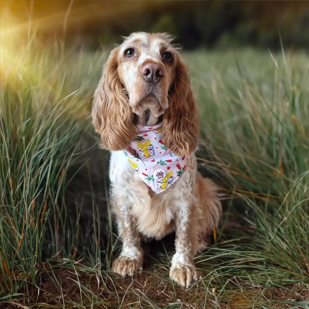 Love at First Bark Bandana Picture
