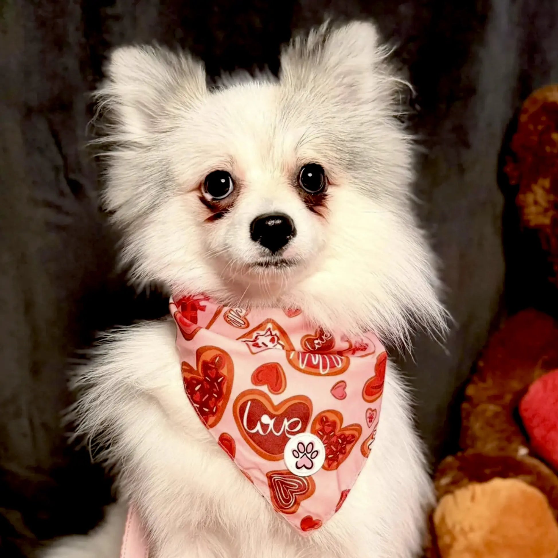 Love at First Bark Bandana Picture