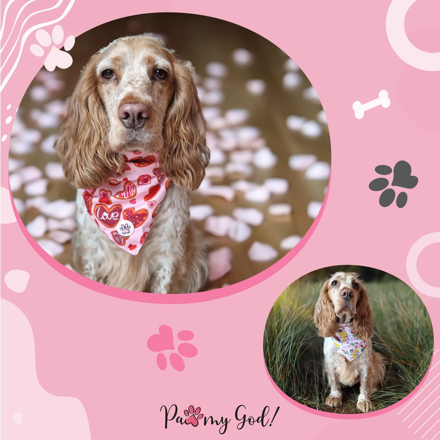 Love at First Bark Bandana Usage