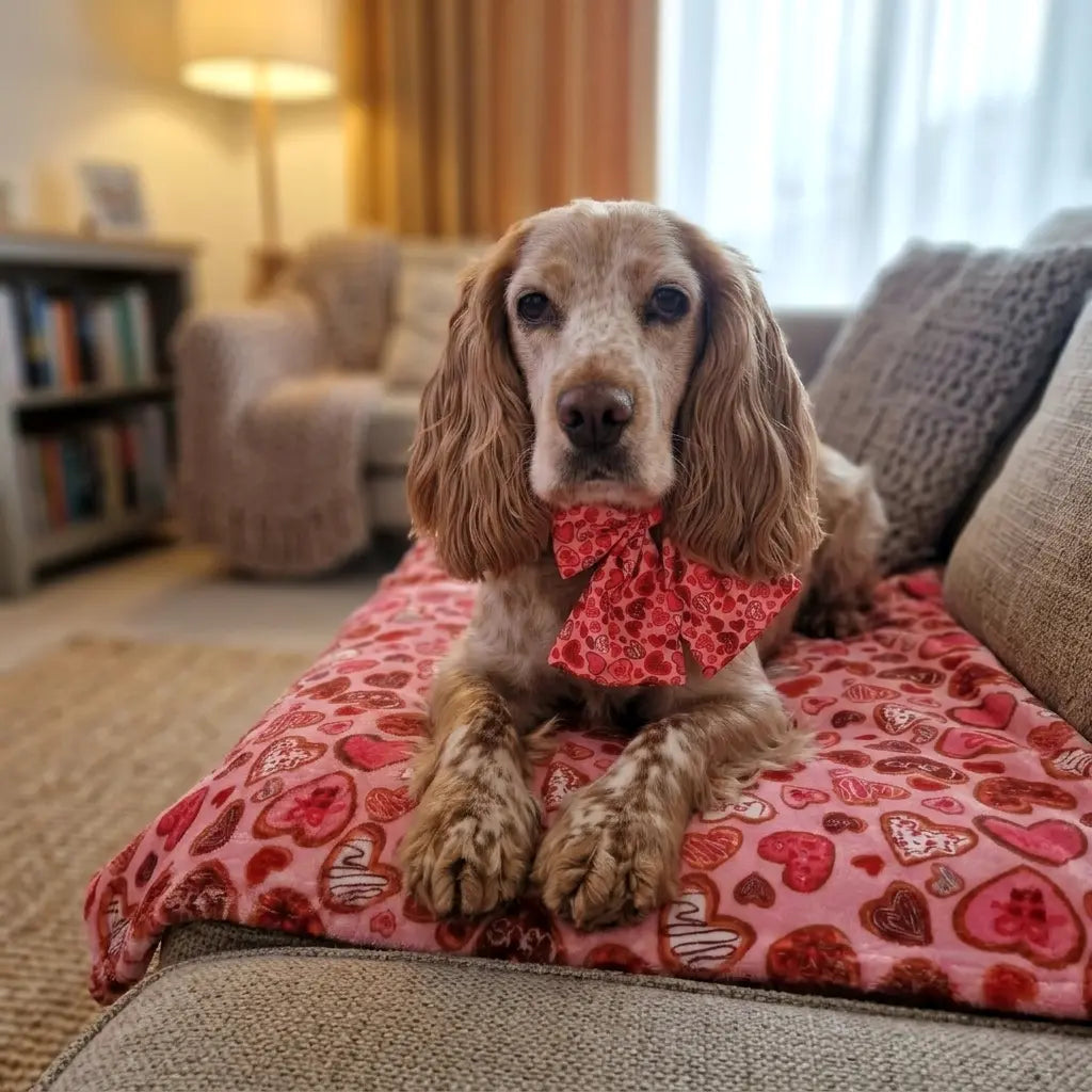 Love at First Bark Blanket Picture